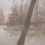 16291 - Timber Light II by Mercana Studio Framed Artwork Matted under Glass