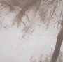 16291 - Timber Light II by Mercana Studio Framed Artwork Matted under Glass