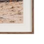 16293 - Namibia Tree in Desert by Richard Silver Textured Framed Photo Print Matted under Glass