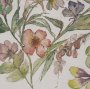 16298 - Atelier des Fleurs III by Mercana Studio Framed Artwork Matted under Glass