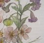 16298 - Atelier des Fleurs III by Mercana Studio Framed Artwork Matted under Glass