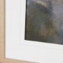 16314 - Wilde Prunus by Zaira Zarotti Textured Framed Photo Print Matted under Glass