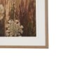 16315 - Wild Carrot Flowers by Zaira Zarotti Textured Framed Photo Print Matted under Glass