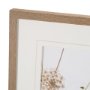 16315 - Wild Carrot Flowers by Zaira Zarotti Textured Framed Photo Print Matted under Glass