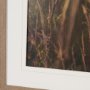16315 - Wild Carrot Flowers by Zaira Zarotti Textured Framed Photo Print Matted under Glass