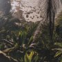 16316 - Princeville Kauai Jungle by Stefan and Audrey Textured Framed Photo Print Matted under Glass