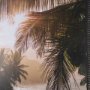 16316 - Princeville Kauai Jungle by Stefan and Audrey Textured Framed Photo Print Matted under Glass