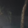 16317 - Maui Moonlight by Stefan and Audrey Hand-Embellished Textured Framed Photo Print Matted under Glass