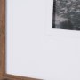16321 - Tree of Life by Stefan and Audrey Textured Framed Photo Print Matted under Glass