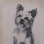 16324 - White Scottie by Mercana Studio Hand-Embellished Framed Artwork Matted under Glass