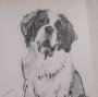 16326 - St. Bernard by Mercana Studio Hand-Embellished Framed Artwork Matted under Glass