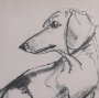 16327 - Dachshunds by Mercana Studio Hand-Embellished Framed Artwork Matted under Glass