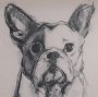 16328 - Frenchton by Mercana Studio Hand-Embellished Framed Artwork Matted under Glass