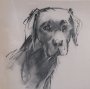 16329 - Black Lab by Mercana Studio Hand-Embellished Framed Artwork Matted under Glass