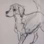 16330 - Good Boy by Mercana Studio Hand-Embellished Framed Artwork Matted under Glass