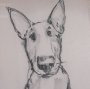 16331 - English Bull Terrier by Mercana Studio Hand-Embellished Framed Artwork Matted under Glass