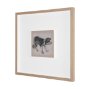 16332 - Border Collie by Mercana Studio Hand-Embellished Framed Artwork Matted under Glass