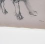 16332 - Border Collie by Mercana Studio Hand-Embellished Framed Artwork Matted under Glass