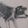 16332 - Border Collie by Mercana Studio Hand-Embellished Framed Artwork Matted under Glass