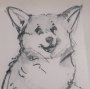 16333 - Corgi by Mercana Studio Hand-Embellished Framed Artwork Matted under Glass