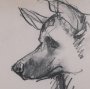 16334 - German Shepherd by Mercana Studio Hand-Embellished Framed Artwork Matted under Glass