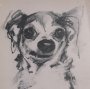 16335 - Chihuahua by Mercana Studio Hand-Embellished Framed Artwork Matted under Glass