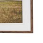 16338 - Icelandic Horse by Stefan and Audrey Framed Photo Print Matted under Glass