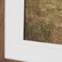 16338 - Icelandic Horse by Stefan and Audrey Framed Photo Print Matted under Glass