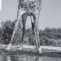 16349 - Thirsty Savanna Giraffes(Set of 2) by Jun Zuo Hand-Embellished Framed Photo Print Matted under Glass