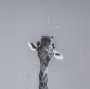 16349 - Thirsty Savanna Giraffes(Set of 2) by Jun Zuo Hand-Embellished Framed Photo Print Matted under Glass