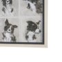 16350 - A Dogs Many Faces by Mercana Studio Hand-Embellished Framed Artwork Matted under Glass