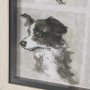 16350 - A Dogs Many Faces by Mercana Studio Hand-Embellished Framed Artwork Matted under Glass