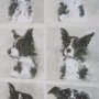 16350 - A Dogs Many Faces by Mercana Studio Hand-Embellished Framed Artwork Matted under Glass