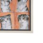 16351 - A Cats Many Faces by Mercana Studio Hand-Embellished Framed Artwork Matted under Glass