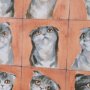 16351 - A Cats Many Faces by Mercana Studio Hand-Embellished Framed Artwork Matted under Glass