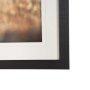 16354 - Distant Duo by Andreas Stridsberg Framed Photo Print Matted under Glass