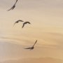 16355 - Tuscan View Sunset - Flight by Zaira Zarotti Framed Photo Print Matted under Glass