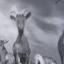 16360 - Curious Farm Goats by Novica Stankovic Hand-Embellished Textured Framed Artwork Matted under Glass