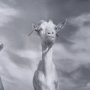 16360 - Curious Farm Goats by Novica Stankovic Hand-Embellished Textured Framed Artwork Matted under Glass