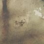102845-FL - Aboreal Fade I by Mercana Studio Hand-Embellished Textured Framed Canvas Artwork