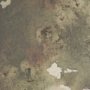 102845-FL - Aboreal Fade I by Mercana Studio Hand-Embellished Textured Framed Canvas Artwork