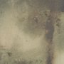 102846-FL - Aboreal Fade II by Mercana Studio Hand-Embellished Textured Framed Canvas Artwork
