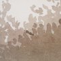 102858-FL - Lowland Fog C by Mercana Studio Hand-Embellished Textured Framed Canvas Artwork