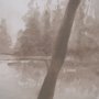 16290 - Timber Light I by Mercana Studio Framed Artwork Matted under Glass