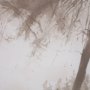 16290 - Timber Light I by Mercana Studio Framed Artwork Matted under Glass