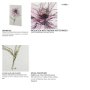 101884-L - Echinacea I by Mercana Studio a Hand Embellished Textured Canvas