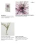 101884-S - Echinacea I by Mercana Studio a Hand Embellished Textured Canvas