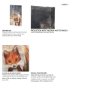 102027-L - City Fox by Mercana Studio a Hand Embellished Textured Canvas