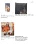 102027-S - City Fox by Mercana Studio a Hand Embellished Textured Canvas