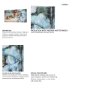 102460-L - Still Life with Peaches by Mercana Studio a Hand Embellished Textured Canvas